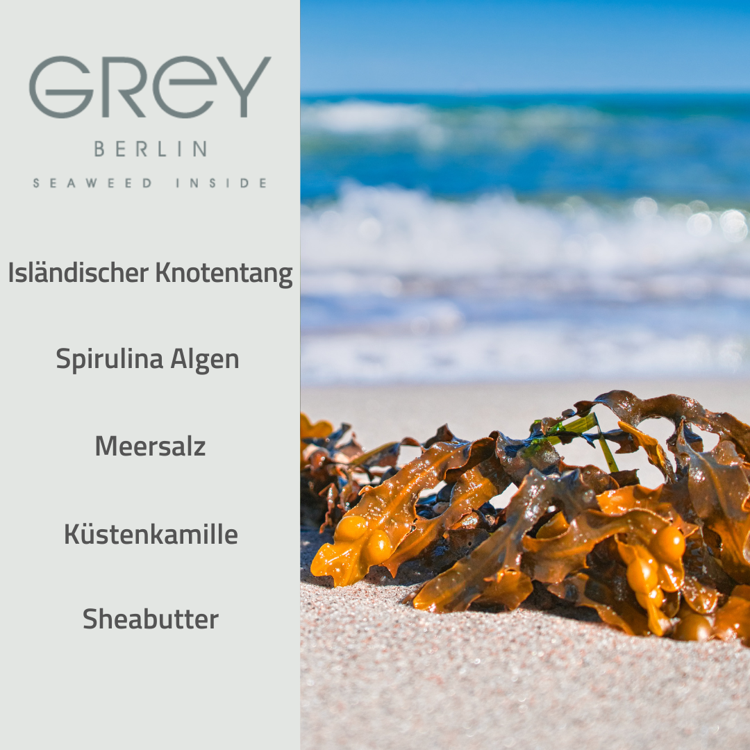 Grey  - Vitalising Seaweed Great Day Cream - Tagescreme