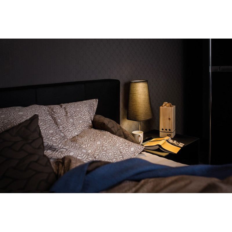 Zirb - kleiner Raumlüfter